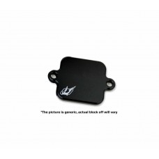 Driven Racing Engine Block off plate kit for Yamaha FJR1300 (05-17)